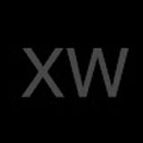 The "Xinyi Wang" user's logo