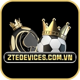 The "ztedevicescomvn" user's logo
